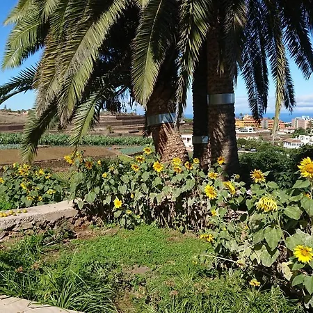 D.juan Casa Inmersa En Un Entorno Natural بويرتو ذي لا كروز