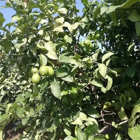 D.juan Casa Inmersa En Un Entorno Natural بويرتو ذي لا كروز