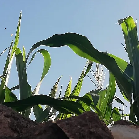 D.juan Casa Inmersa En Un Entorno Natural بيت للعطل *