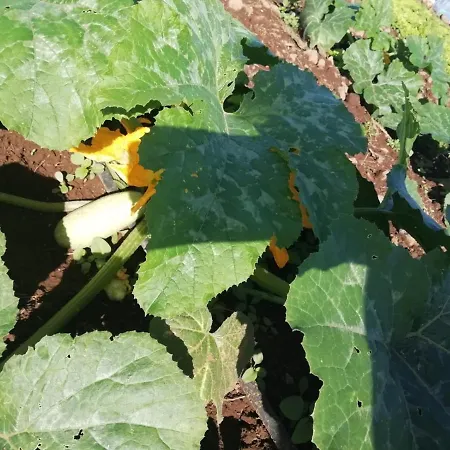 D.juan Casa Inmersa En Un Entorno Natural بيت للعطل بويرتو ذي لا كروز
