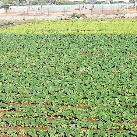 بيت للعطل D.juan Casa Inmersa En Un Entorno Natural