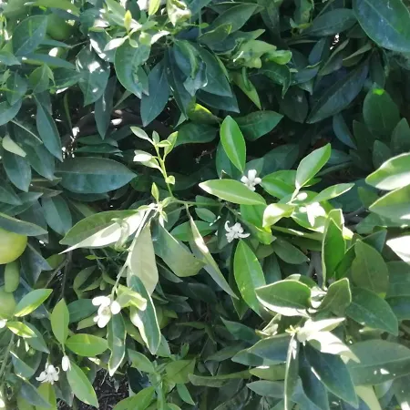 D.juan Casa Inmersa En Un Entorno Natural بويرتو ذي لا كروز