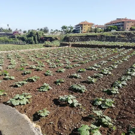 D.juan Casa Inmersa En Un Entorno Natural بيت للعطل