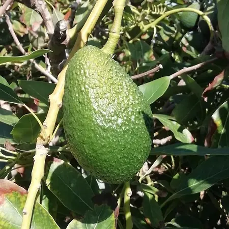 D.juan Casa Inmersa En Un Entorno Natural بيت للعطل
