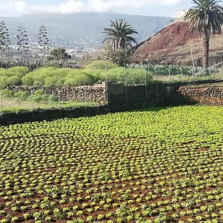 بيت للعطل D.juan Casa Inmersa En Un Entorno Natural *