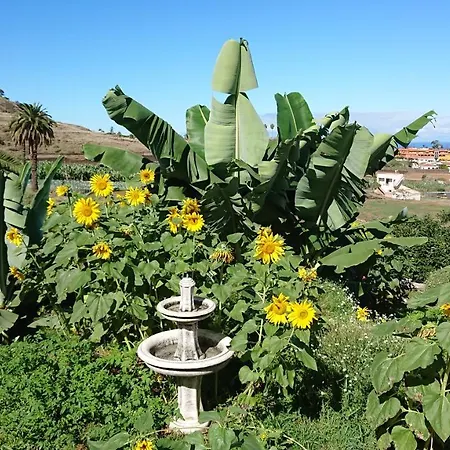 D.juan Casa Inmersa En Un Entorno Natural