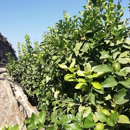 D.juan Casa Inmersa En Un Entorno Natural