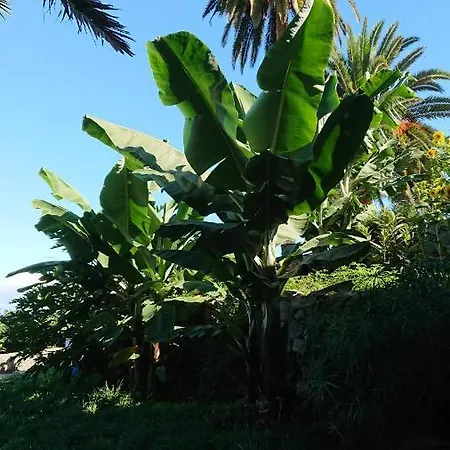 D.juan Casa Inmersa En Un Entorno Natural Puerto de la Cruz (Tenerife)