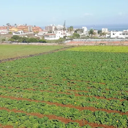 D.juan Casa Inmersa En Un Entorno Natural Feriehus Puerto de la Cruz (Tenerife)