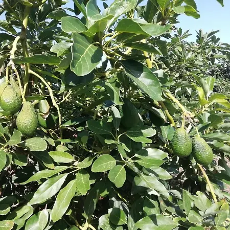 D.juan Casa Inmersa En Un Entorno Natural *