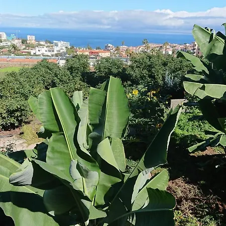D.juan Casa Inmersa En Un Entorno Natural Puerto de la Cruz (Tenerife)